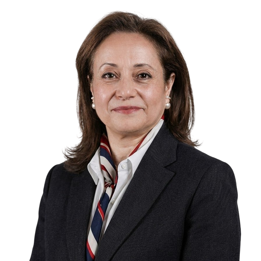 H.E. Amani Abou-Zeid